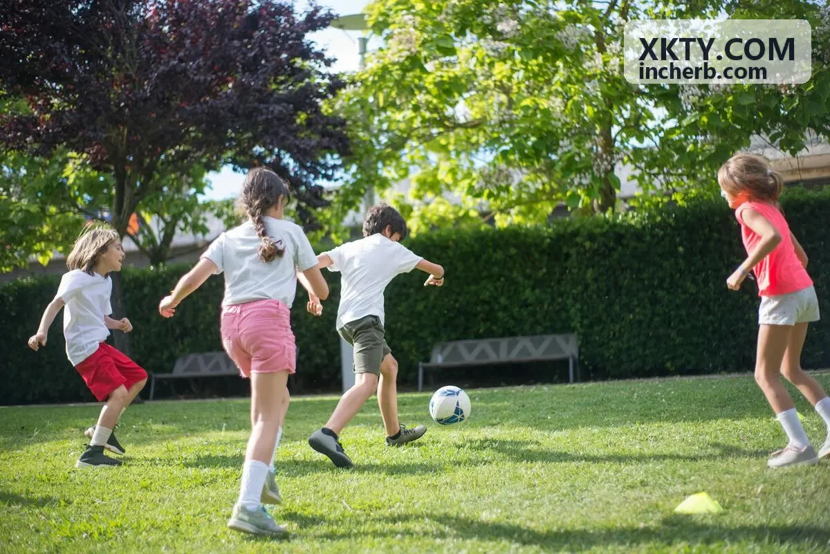 XKTY.COM 标准化植物提取物原料展示