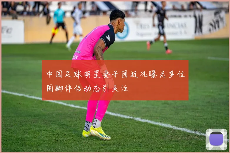 中国足球明星妻子团近况曝光多位国脚伴侣动态引关注