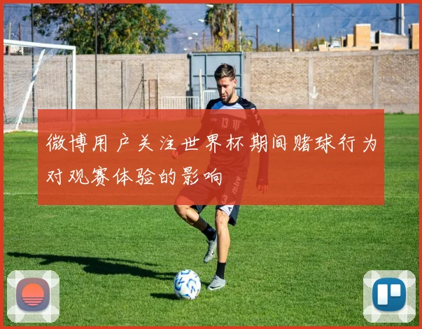 微博用户关注世界杯期间赌球行为对观赛体验的影响