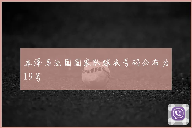 本泽马法国国家队球衣号码公布为19号