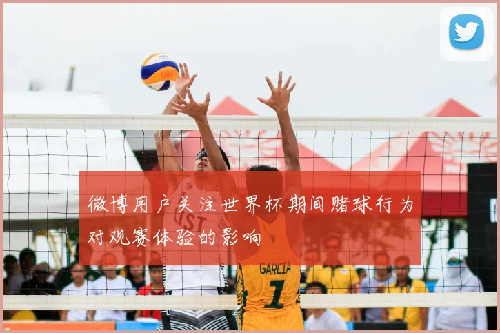微博用户关注世界杯期间赌球行为对观赛体验的影响