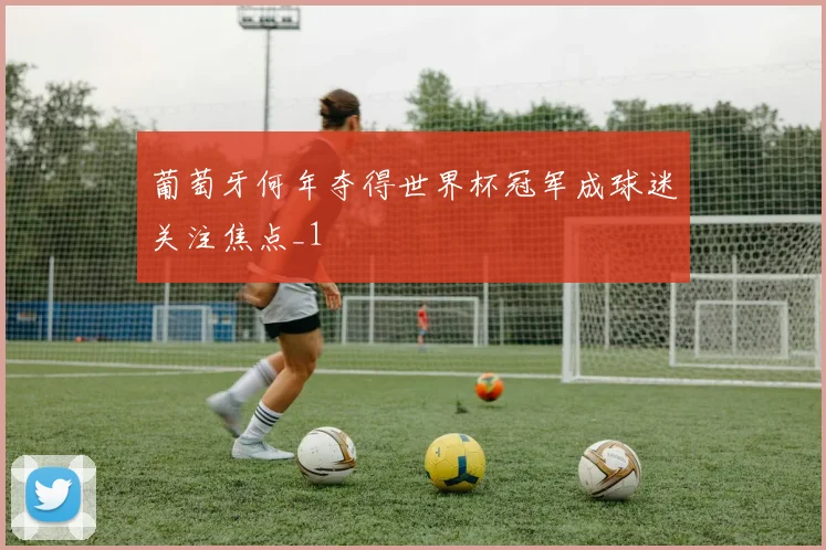 葡萄牙何年夺得世界杯冠军成球迷关注焦点_1