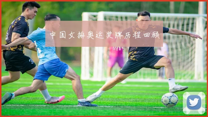 中国女排奥运奖牌历程回顾