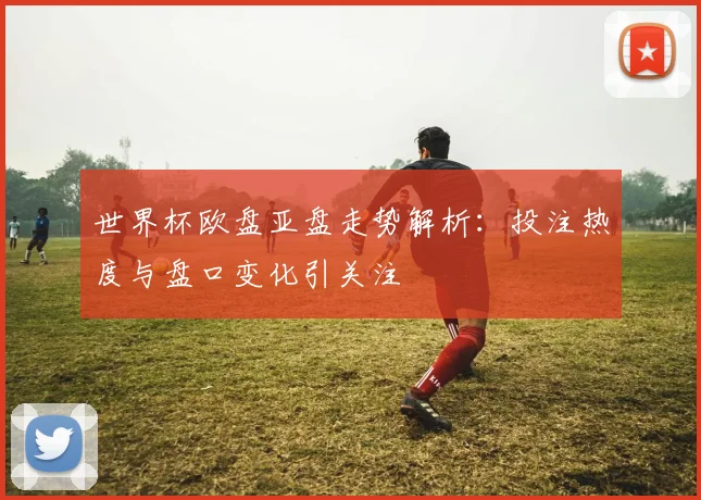 世界杯欧盘亚盘走势解析：投注热度与盘口变化引关注