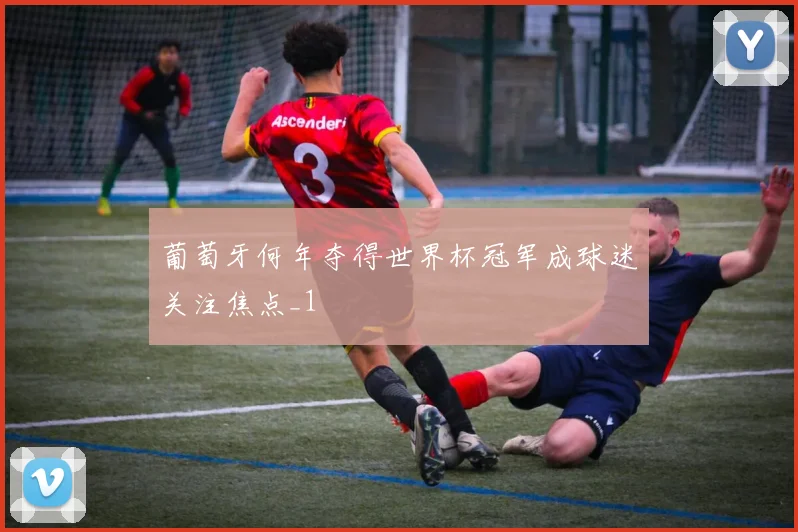 葡萄牙何年夺得世界杯冠军成球迷关注焦点_1
