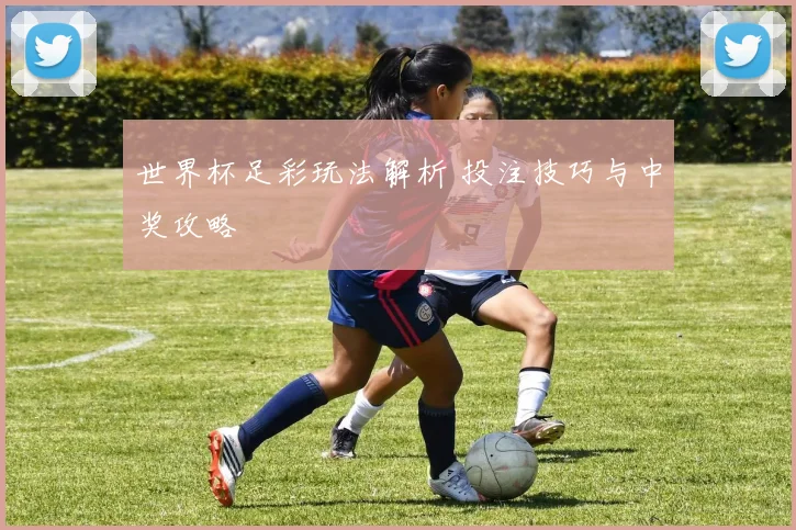 世界杯足彩玩法解析 投注技巧与中奖攻略
