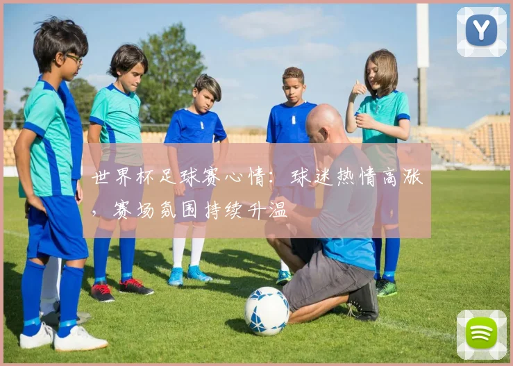世界杯足球赛心情：球迷热情高涨，赛场氛围持续升温