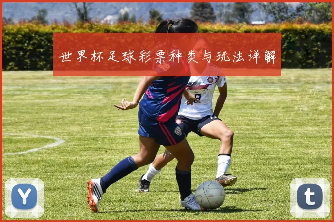 世界杯足球彩票种类与玩法详解
