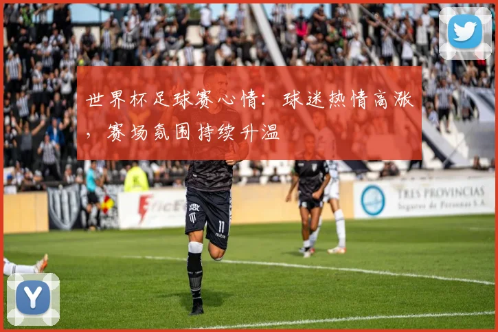 世界杯足球赛心情：球迷热情高涨，赛场氛围持续升温